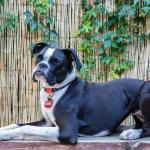 True North Rescue - Home (2025-06-15 01:05)
